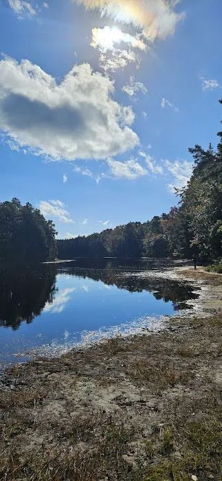 Brendan T Byrne State Forest Campground 0