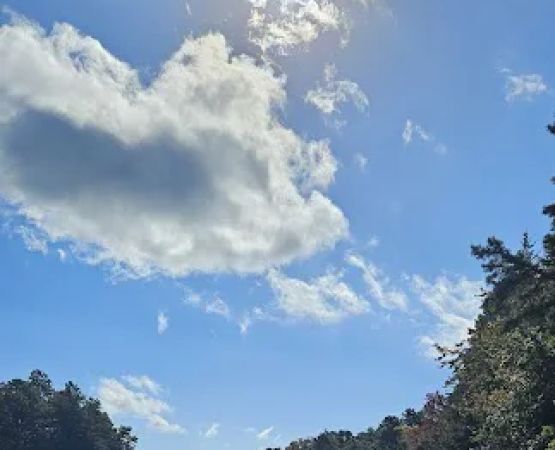 Brendan T Byrne State Forest Campground