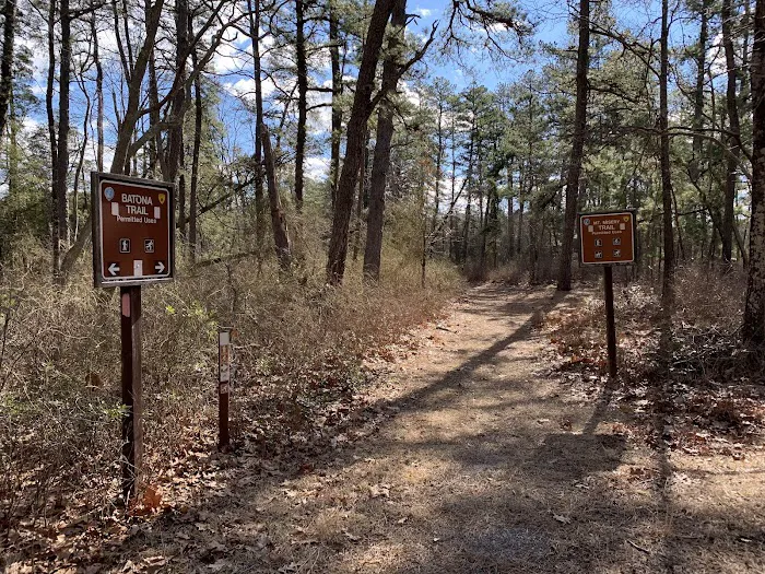 Brendan T Byrne State Forest Campground 4