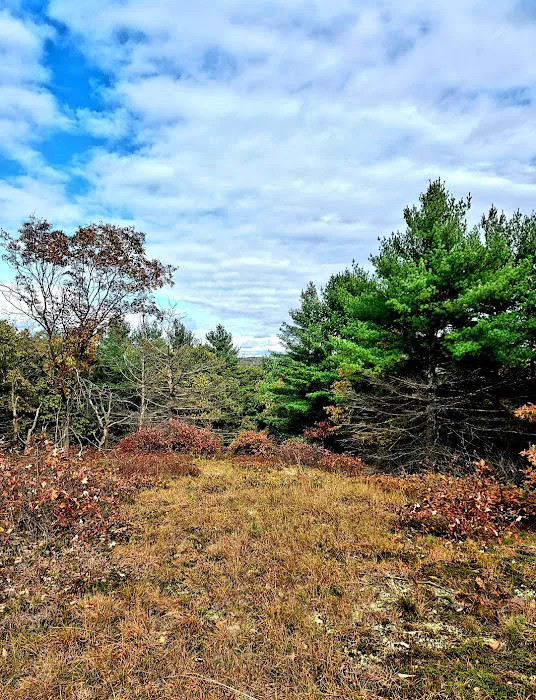 Port Jervis Elks Brox Campground 5