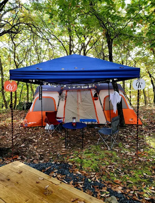 Port Jervis Elks Brox Campground 7