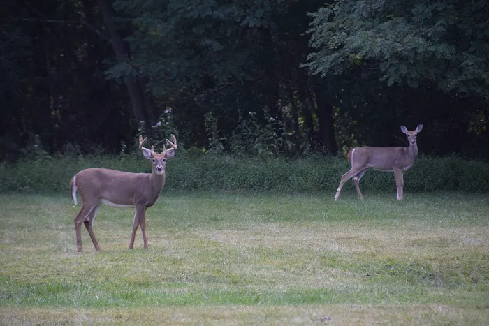 Washingtonville Manor Manufactured Home Community 6