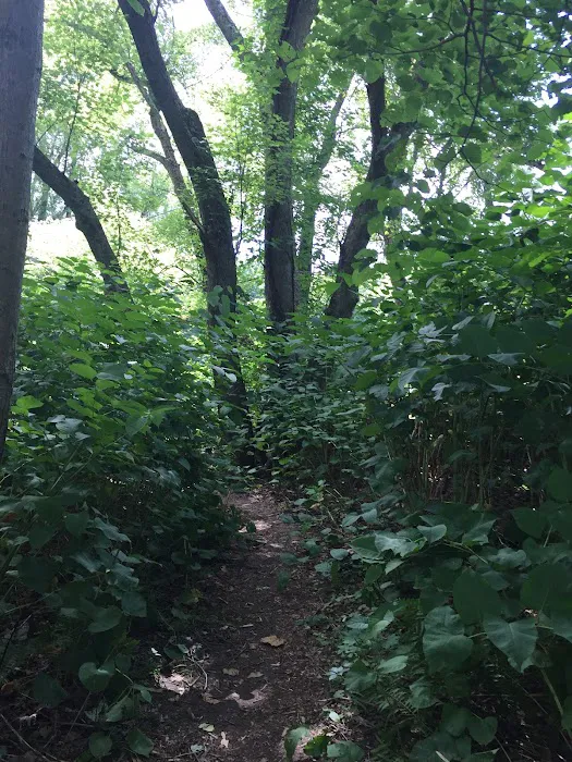 National Park Service - Mashipacong Island - Campsite # 1 6