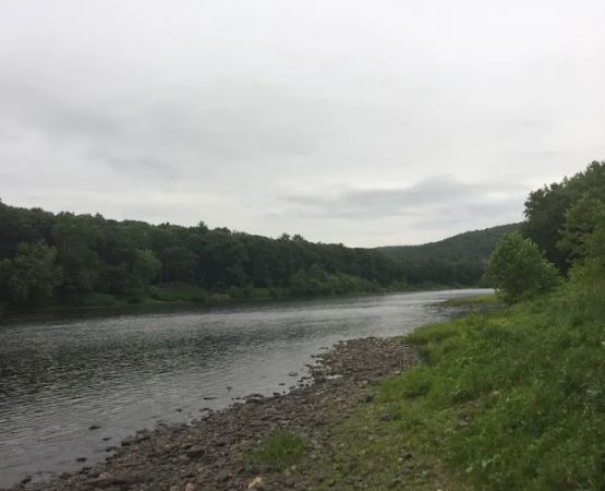 National Park Service - Mashipacong Island - Campsite # 1
