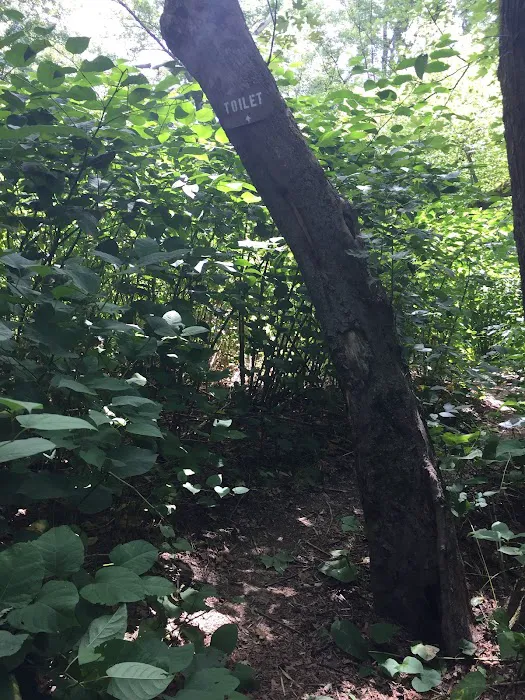 National Park Service - Mashipacong Island - Campsite # 1 2