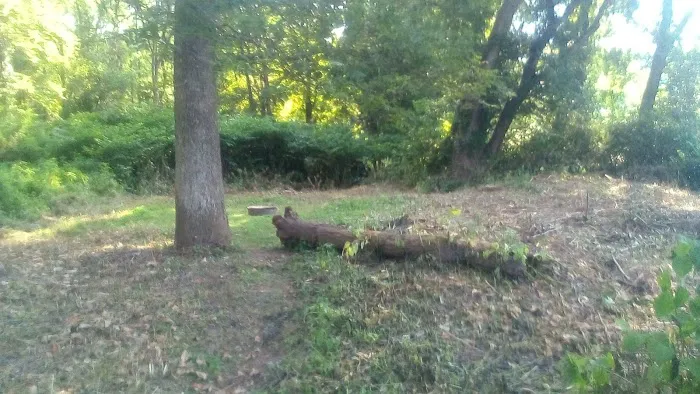 National Park Service - Delaware River - Ratcliffs - Campsites # 52-54 6