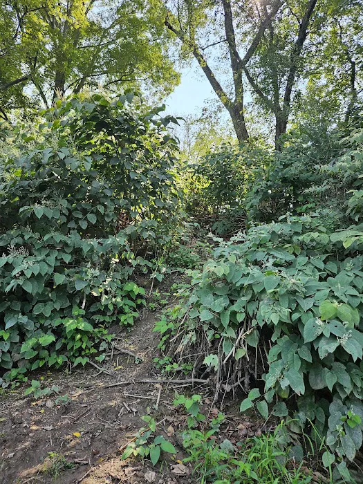 National Park Service - Delaware River - Ratcliffs - Campsites # 52-54 5