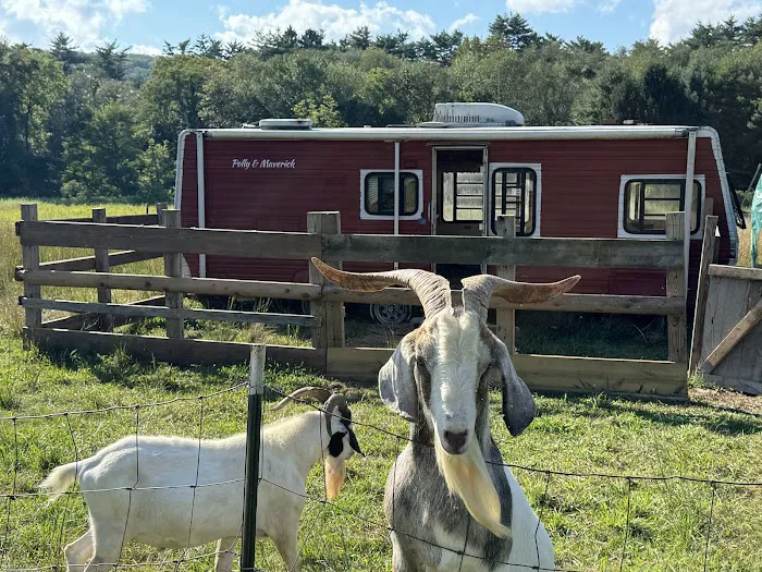 Neversink River Resort 5
