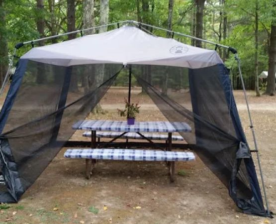 Oakland Valley Campground