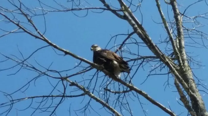 Oakland Valley Campground 3