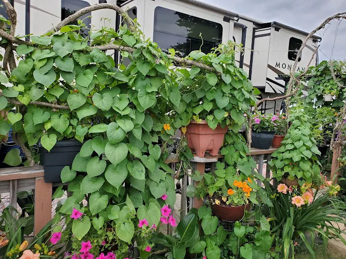 Pocono Vacation Park 8