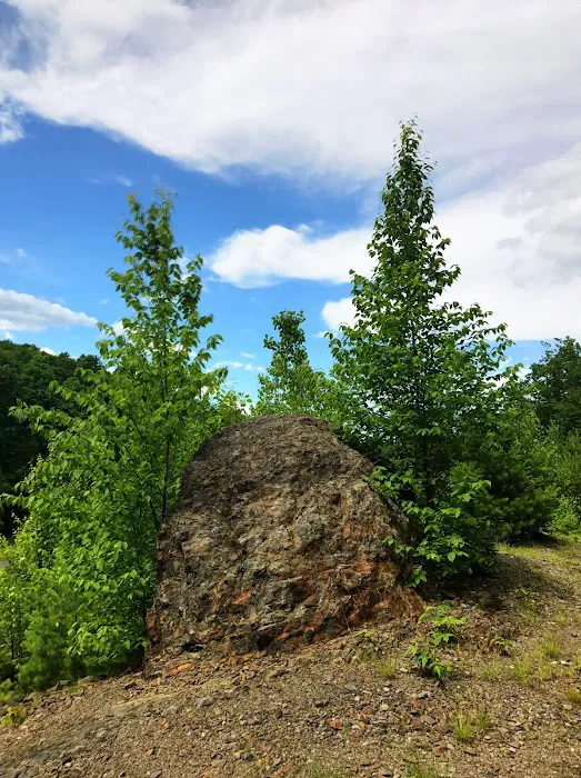 Cranberry Run Campground 4