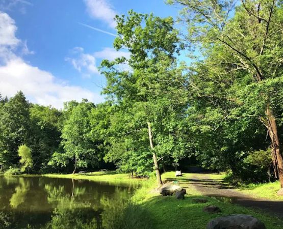 Cranberry Run Campground