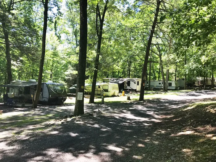 Cranberry Run Campground 2