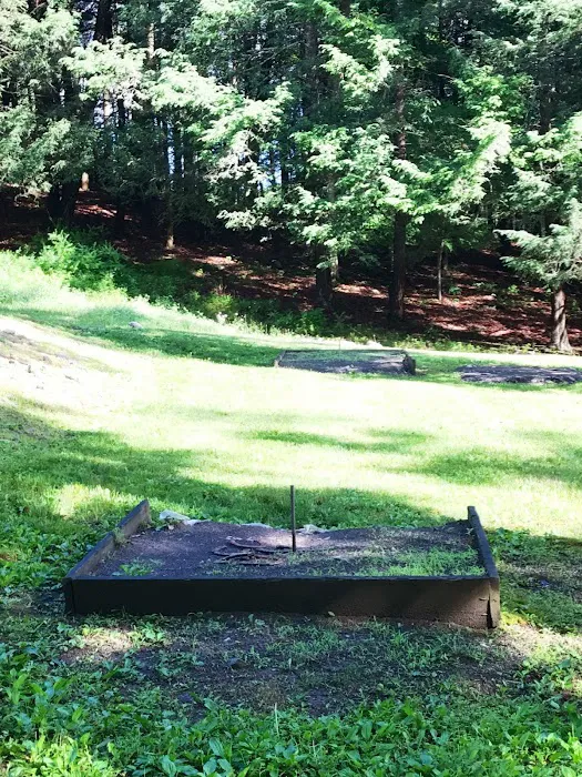 Cranberry Run Campground 8