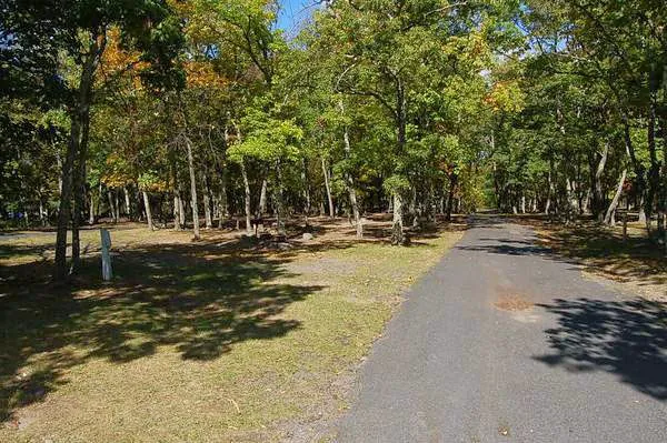 Thousand Trails Timothy Lake North 1