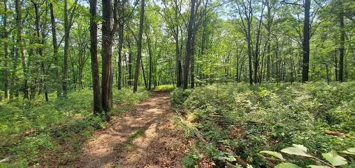 Resica Falls Scout Reservation 4