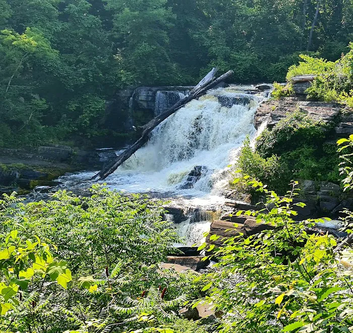 Resica Falls Scout Reservation 8