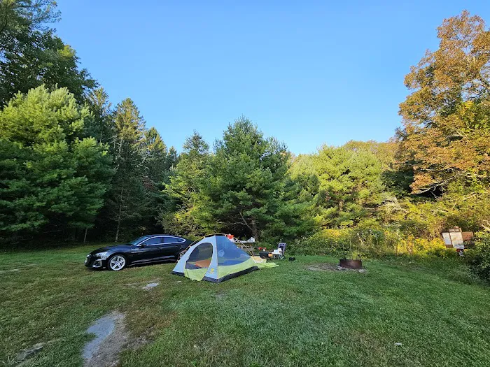 Delaware State Forest campsite #E014 7