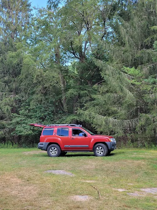 Delaware State Forest campsite #E014 9