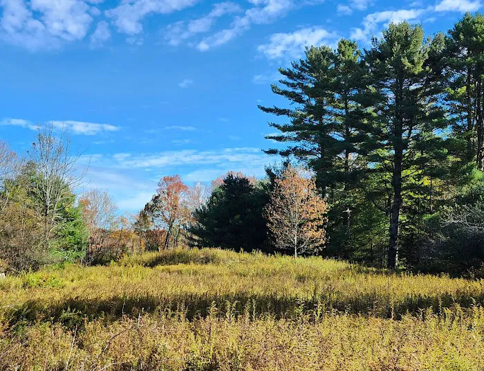 Delaware State Forest campsite #E014 6