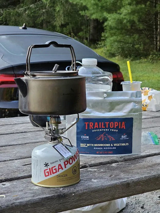 Delaware State Forest campsite #E014 5