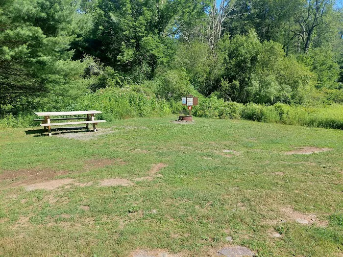 Delaware State Forest campsite #E014 4