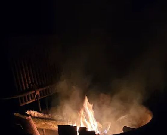 Delaware State Forest campsite #E014