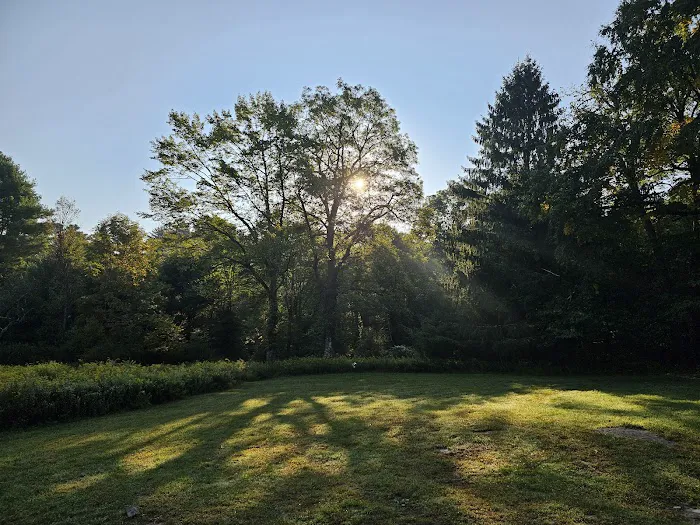Delaware State Forest campsite #E014 1
