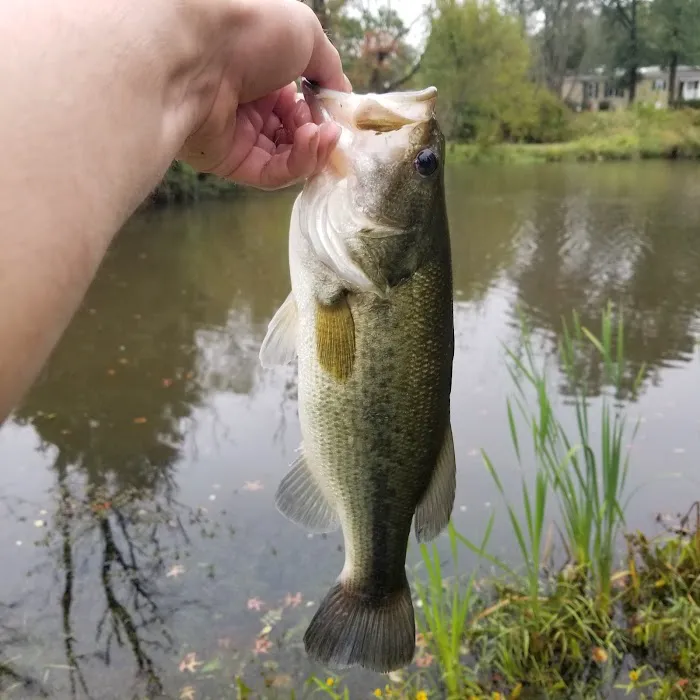 Melody Lakes Manufactured Home Community 6