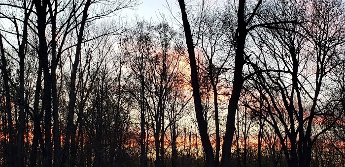 Homestead Family Campground 8