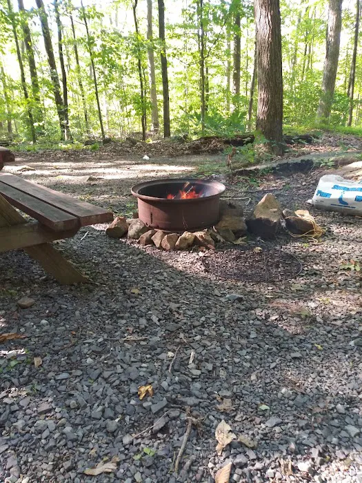 Homestead Family Campground 6