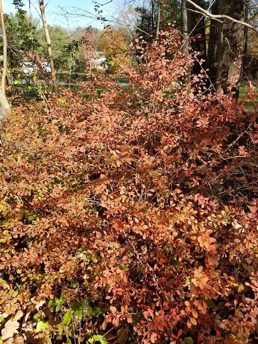 Homestead Family Campground 9