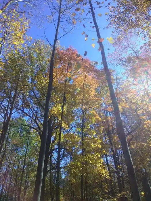 Boulder Woods Campground 6