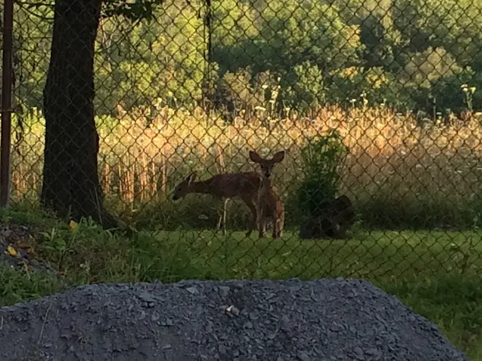 Whispering Hollow South Mobile Home Park, by Valley Community Management 8