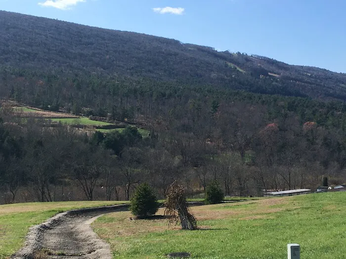 Blue Mountain View Estates 8