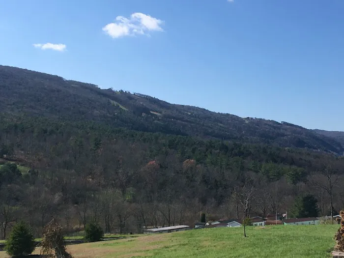 Blue Mountain View Estates 6