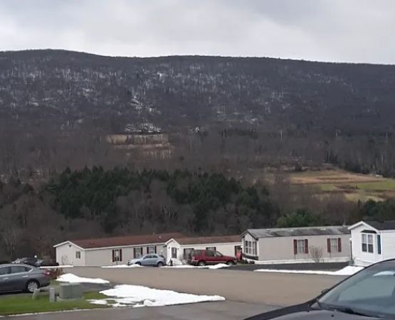 Blue Mountain View Estates