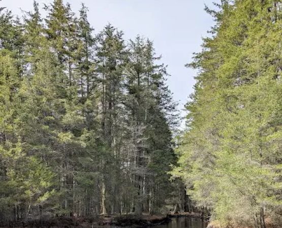 Hawkins Bridge Campground