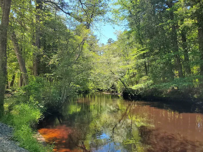 Wading Pines Camping Resort 8