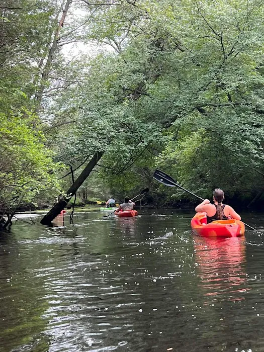 Wading Pines Camping Resort 6