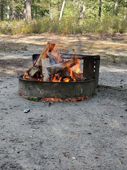 Godfrey Bridge Campground 5