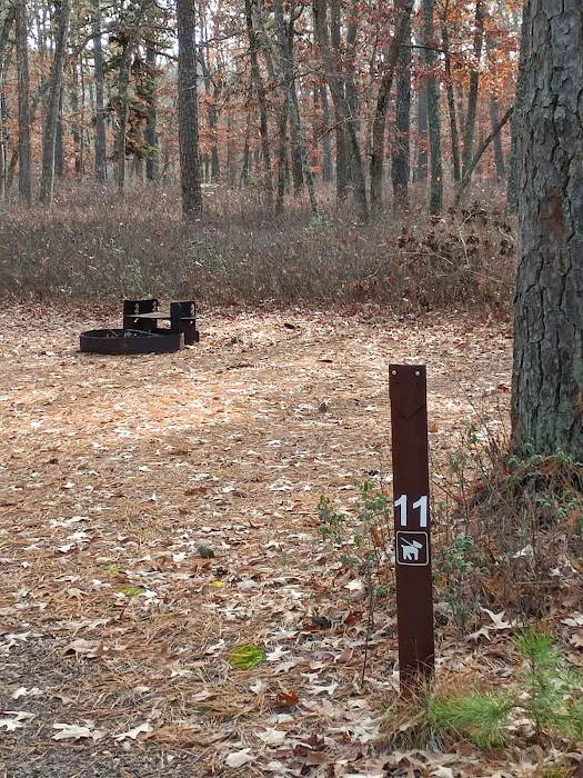 Godfrey Bridge Campground 6