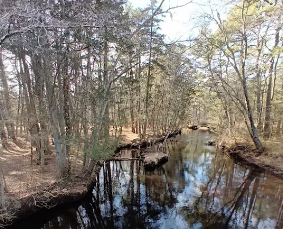 Godfrey Bridge Campground