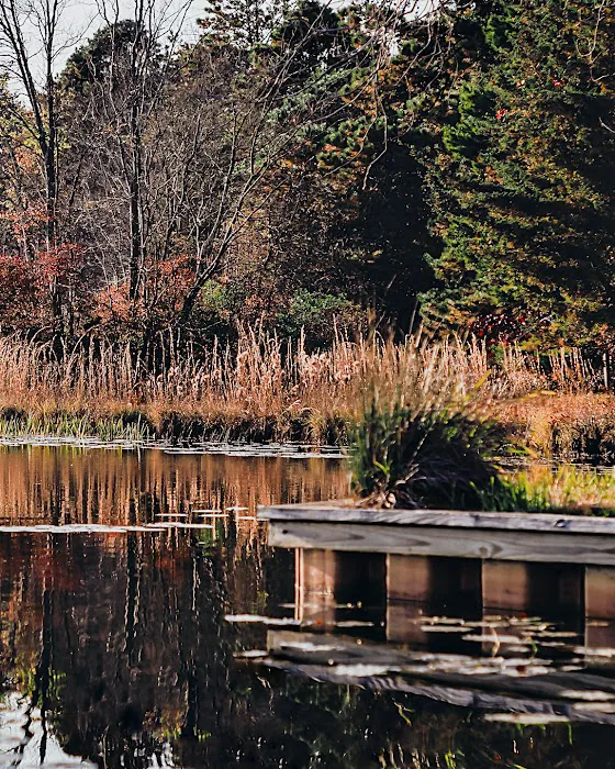 Lady’s Lake Campgroud 5