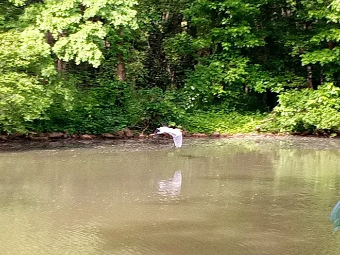 Cherry Hill Mobile Home Park 1