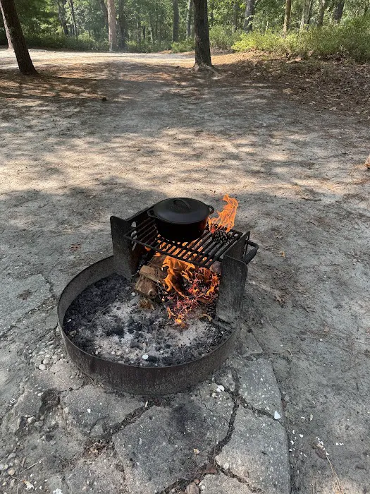 South Campground at Bass River State Forest 7