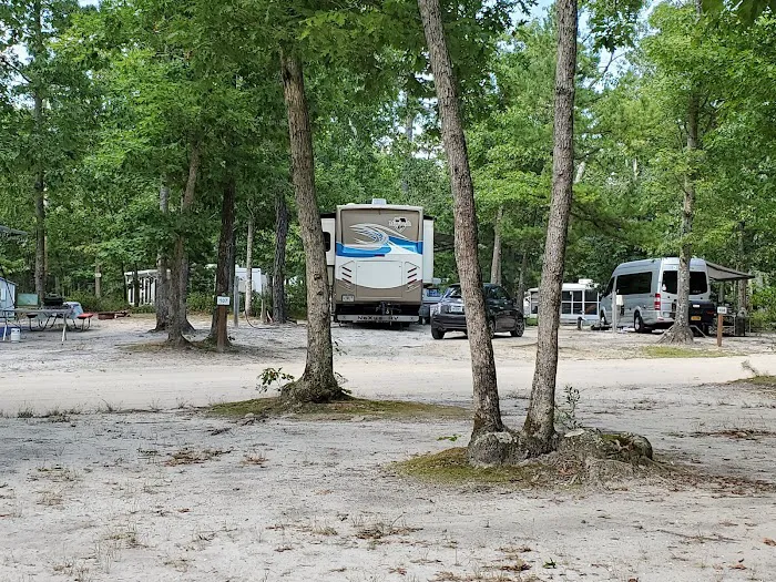 Atlantic Shore Pines Campground- Jersey Shore Camping at its finest! 1