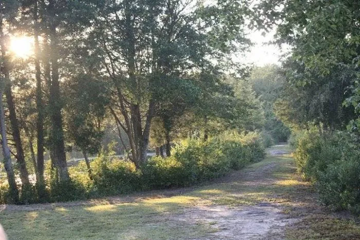 Timberline Lake Camping Resort 9