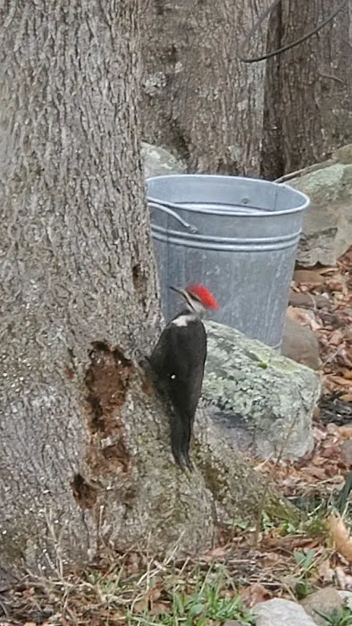 Korn's Shawangunk Kill Campground 7